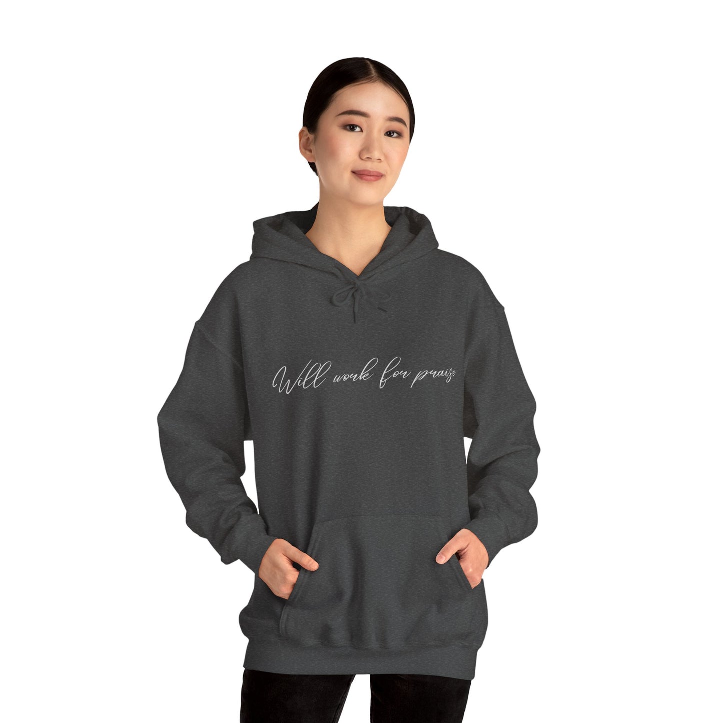 Will work for praise - Hoodie